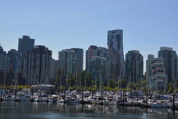 yacht club and skyline